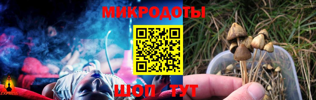 Галлюциногенные грибы Psilocybine cubensis Тельмана